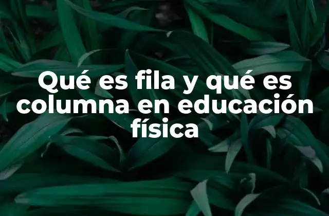 Qué es Fila y Qué es Columna en Educación Física