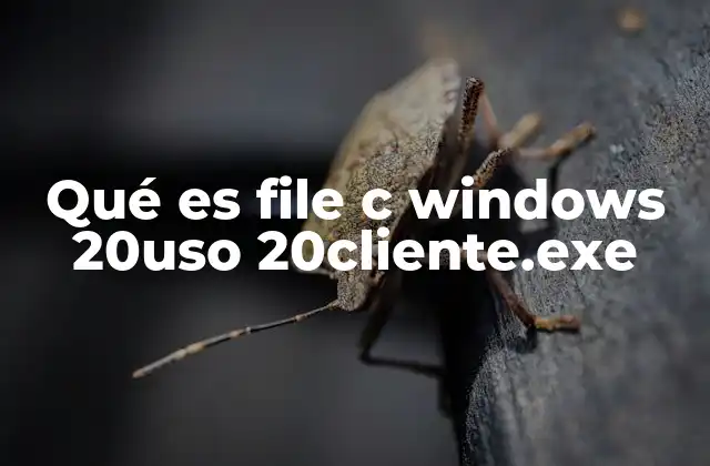 Qué es File C Windows 20uso 20cliente.exe