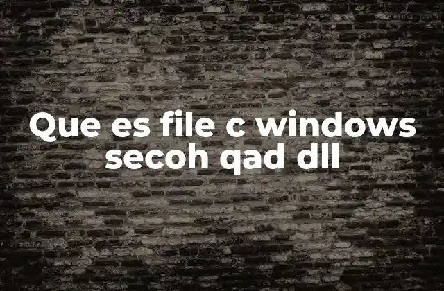 Que es File C Windows Secoh Qad Dll