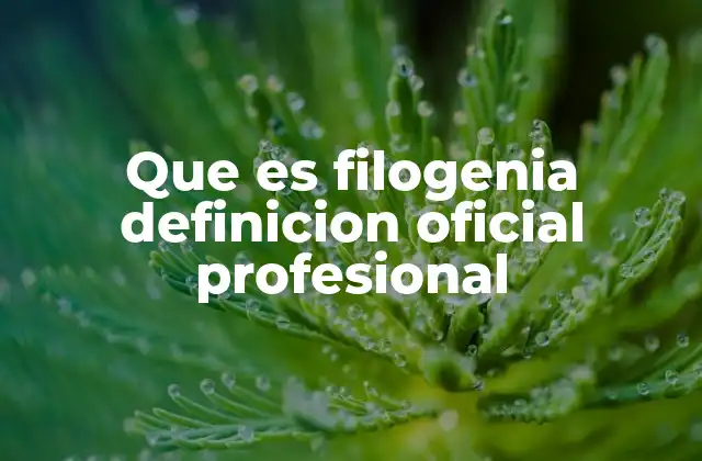 Que es Filogenia Definicion Oficial Profesional
