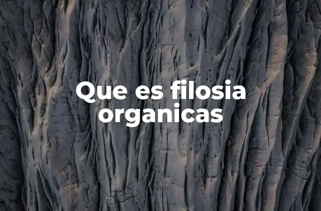 Que es Filosia Organicas