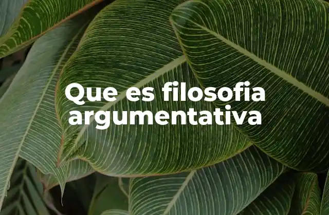 Que es Filosofia Argumentativa