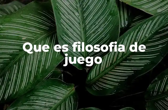 Que es Filosofia de Juego