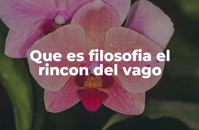 Filosofía y la actitud de evadir el esfuerzo