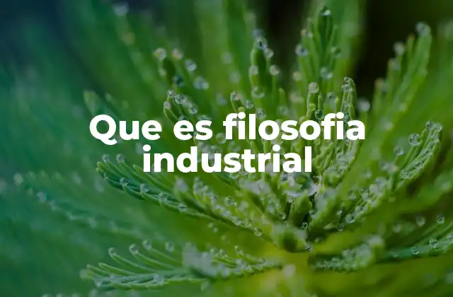 Que es Filosofia Industrial 2 La importancia de la visión filosófica en la industria