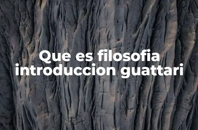 Que es Filosofia Introduccion Guattari 2 La filosofía como práctica de liberación