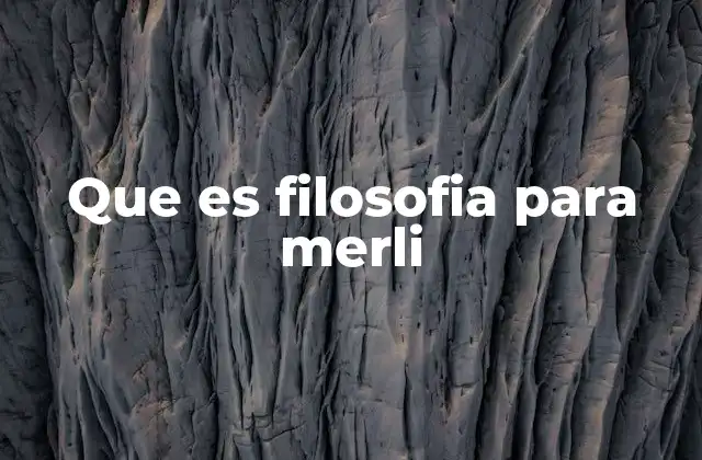 Que es Filosofia para Merli