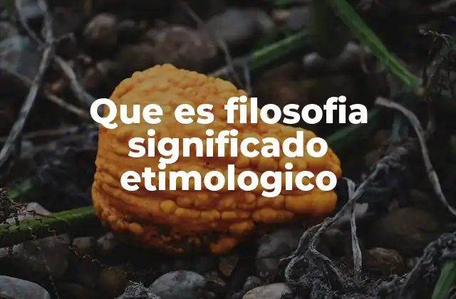 Que es Filosofia Significado Etimologico