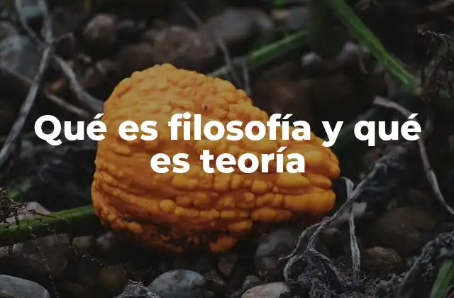 Qué es Filosofía y Qué es Teoría