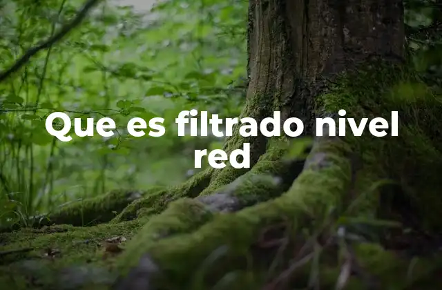 Que es Filtrado Nivel Red 2 Control de tráfico en la capa de red