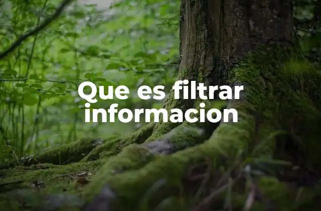 Que es Filtrar Informacion
