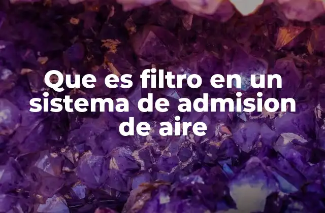 Que es Filtro en un Sistema de Admision de Aire