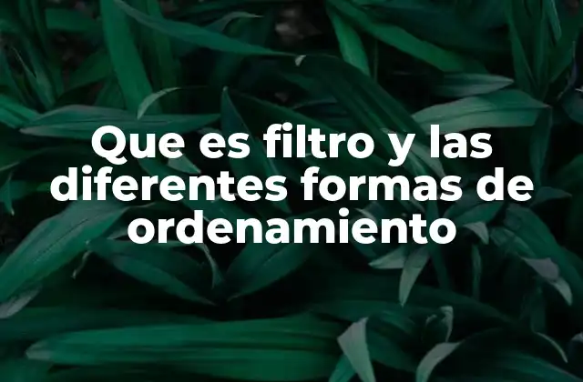 Que es Filtro y las Diferentes Formas de Ordenamiento