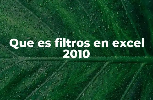 Que es Filtros en Excel 2010