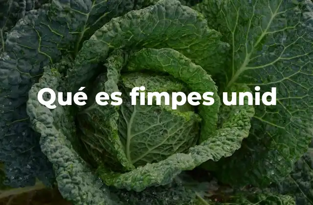 Qué es Fimpes Unid