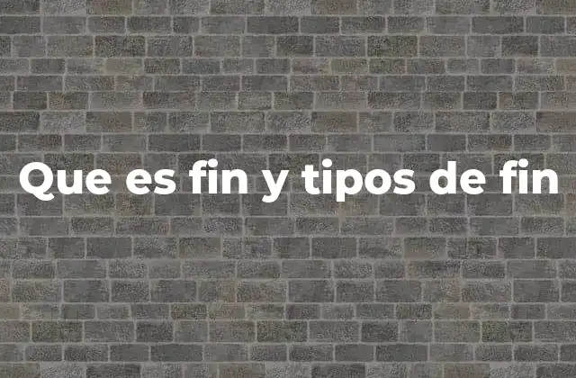 Que es Fin y Tipos de Fin