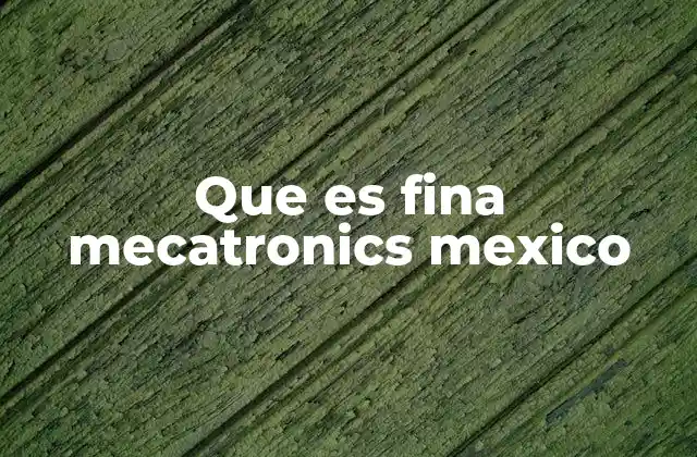 Que es Fina Mecatronics Mexico