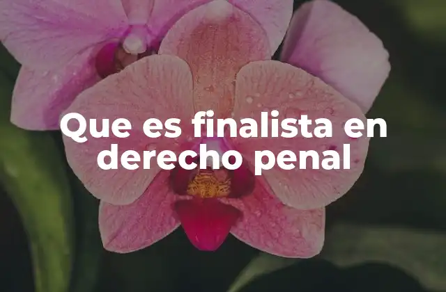 Que es Finalista en Derecho Penal