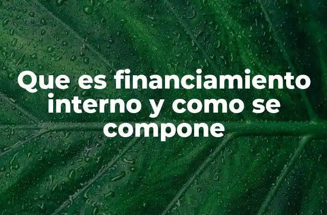 Que es Financiamiento Interno y como Se Compone