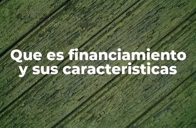 Que es Financiamiento y Sus Caracteristicas