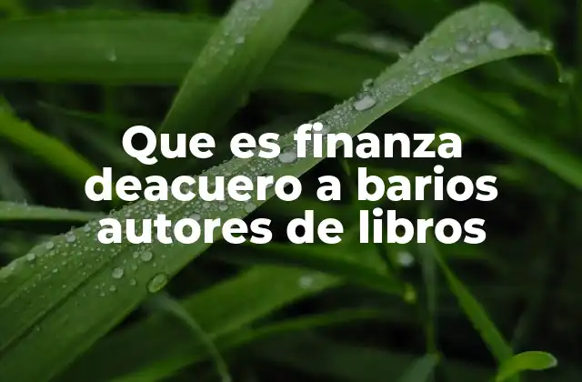 Que es Finanza Deacuero a Barios Autores de Libros 2 La visión de la finanza desde diferentes enfoques académicos y prácticos