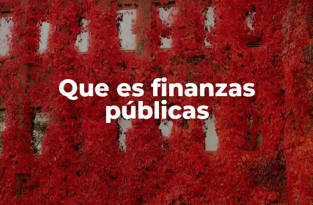 Que es Finanzas Públicas