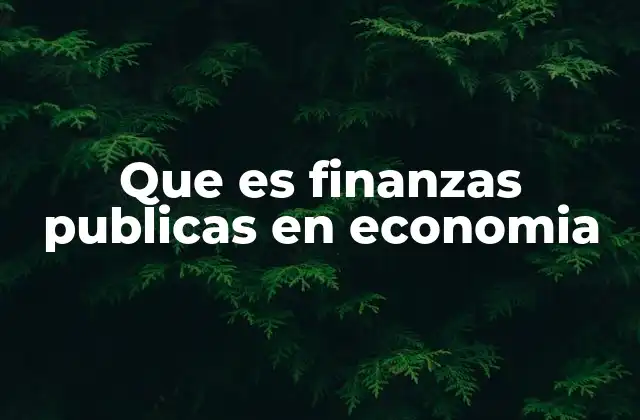 Que es Finanzas Publicas en Economia