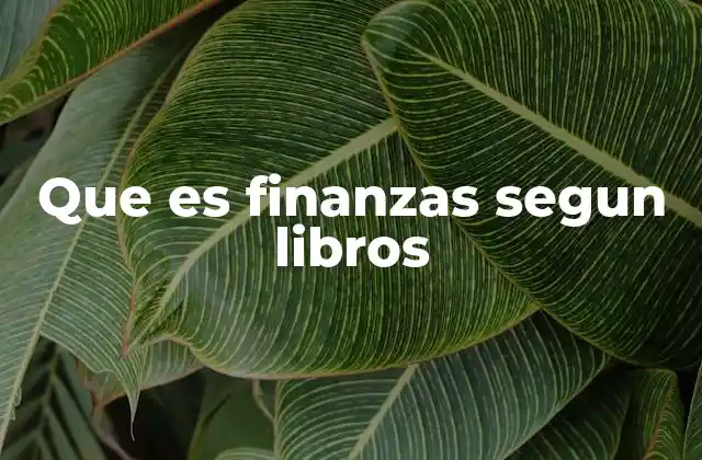 Que es Finanzas Segun Libros