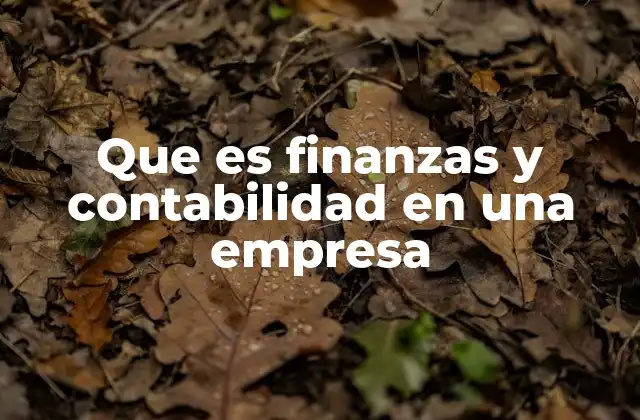 Que es Finanzas y Contabilidad en una Empresa