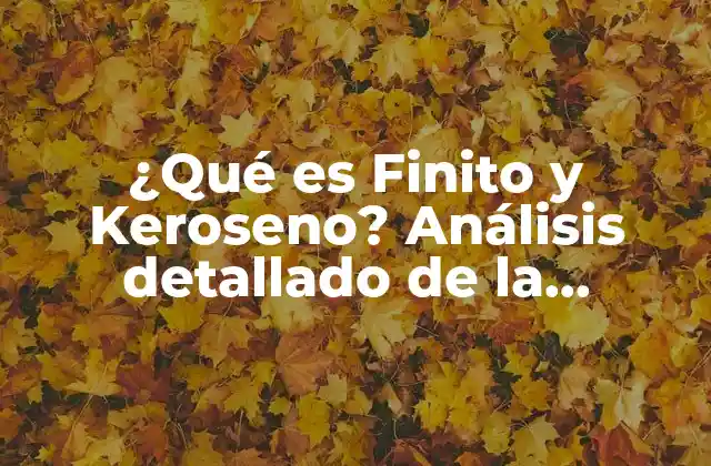 ¿qué es Finito y Keroseno? Análisis Detallado de la Industria Energética