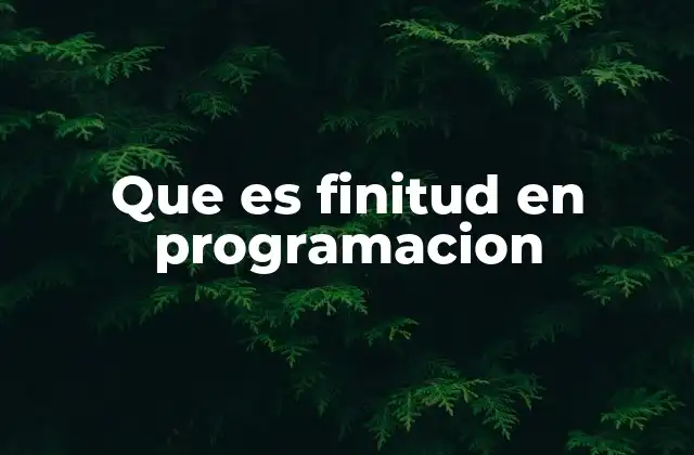 Que es Finitud en Programacion