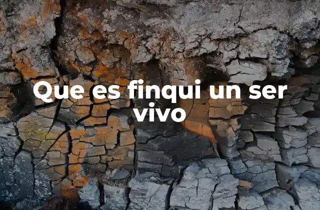 Que es Finqui un Ser Vivo