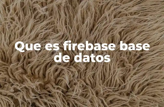 Que es Firebase Base de Datos