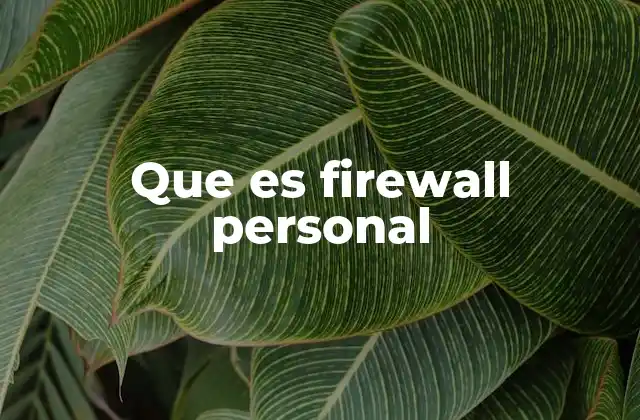 Que es Firewall Personal
