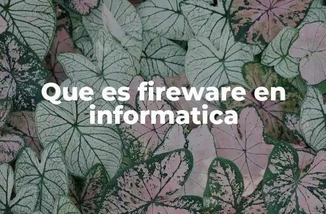 Que es Fireware en Informatica
