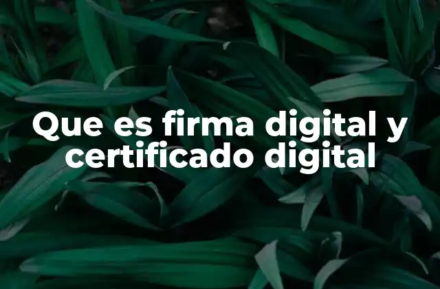 Que es Firma Digital y Certificado Digital