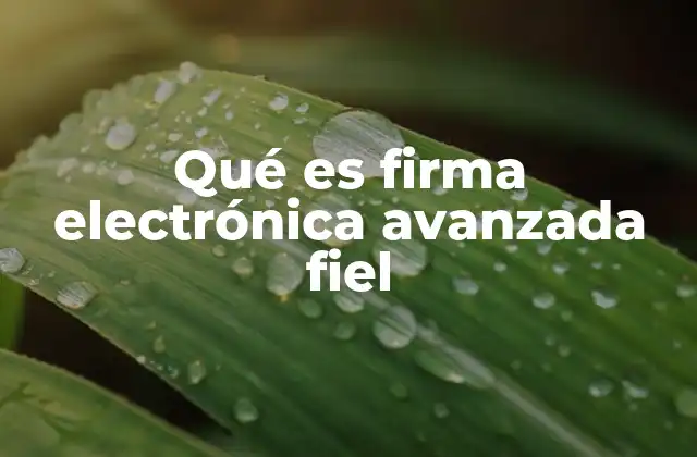 Qué es Firma Electrónica Avanzada Fiel