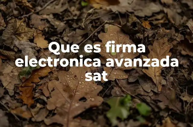 La importancia de la seguridad digital en el SAT