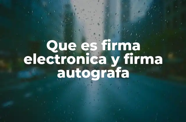 Que es Firma Electronica y Firma Autografa
