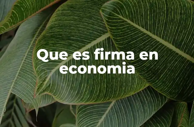 Que es Firma en Economia