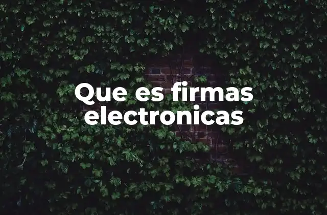 Que es Firmas Electronicas