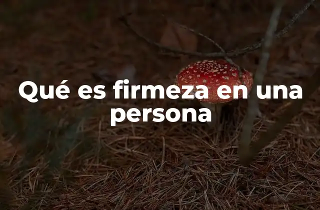Qué es Firmeza en una Persona