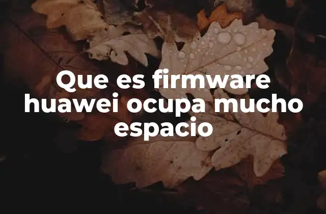 Que es Firmware Huawei Ocupa Mucho Espacio