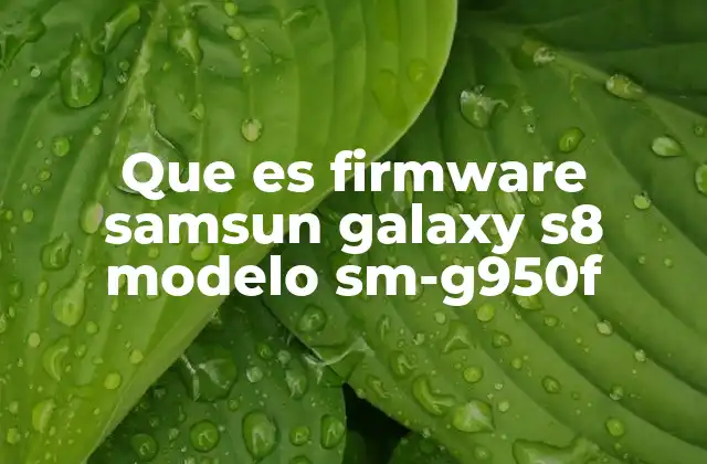 Que es Firmware Samsun Galaxy S8 Modelo Sm-g950f