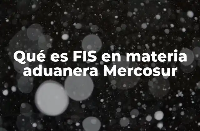 Qué es Fis en Materia Aduanera Mercosur