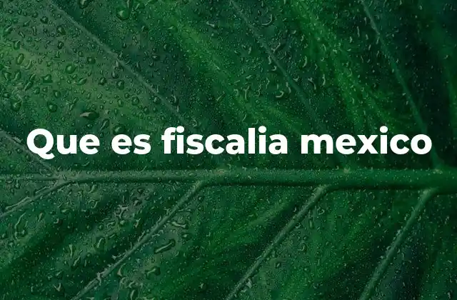 Que es Fiscalia Mexico
