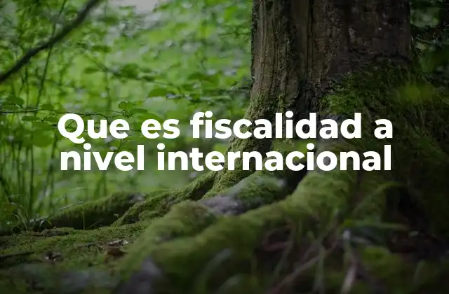 Que es Fiscalidad a Nivel Internacional