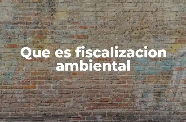 Que es Fiscalizacion Ambiental