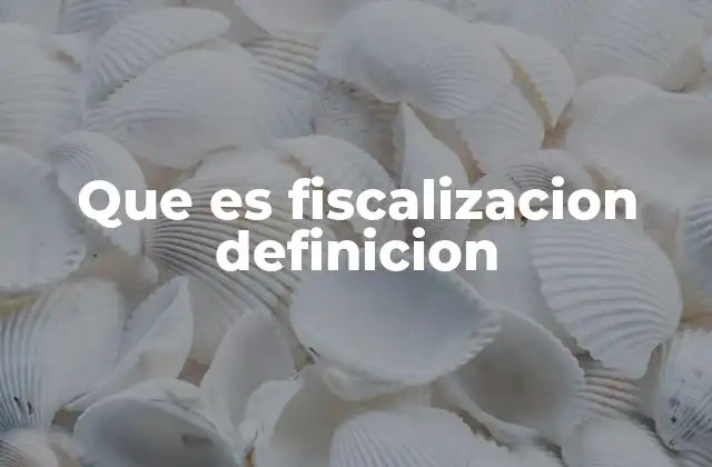 Que es Fiscalizacion Definicion