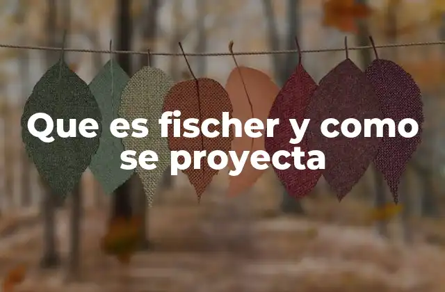Que es Fischer y como Se Proyecta